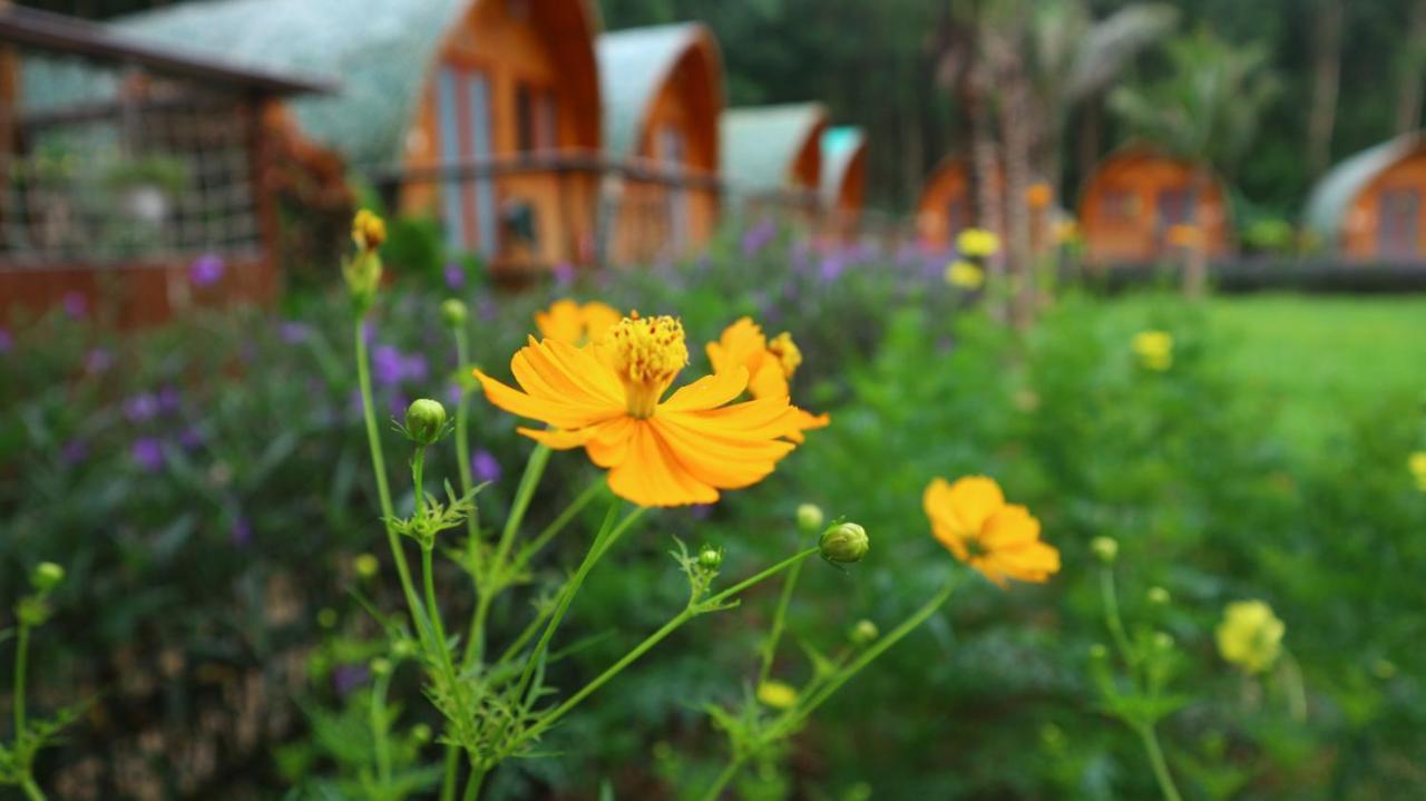 Chay Lap Farmstay Bo Trach Dış mekan fotoğraf